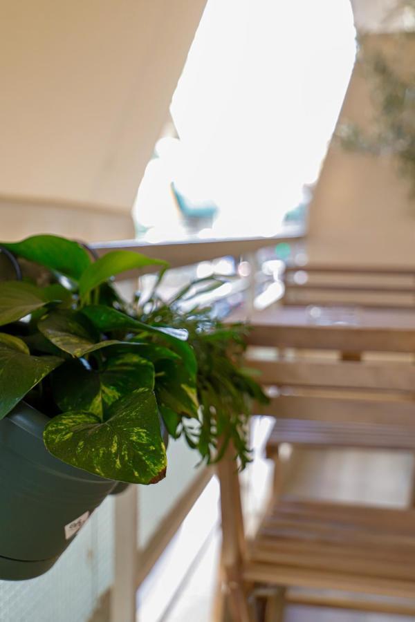 Newly Renovated Apartment 7 Min Walk From Acropolis 雅典 外观 照片
